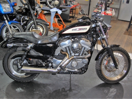 harleydavidson_883_vendita_roma