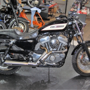 harleydavidson_883_vendita_roma